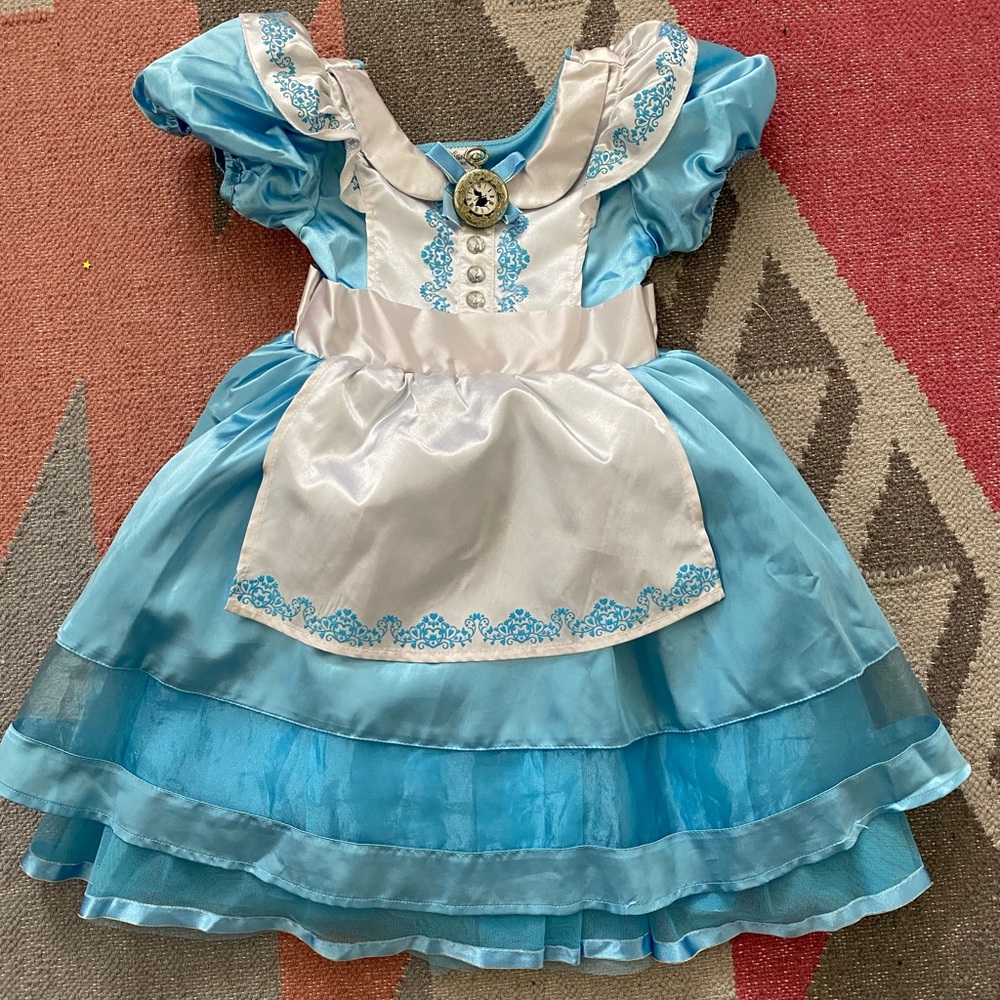 Disney Princess dress (Alice in Wonderland) costume